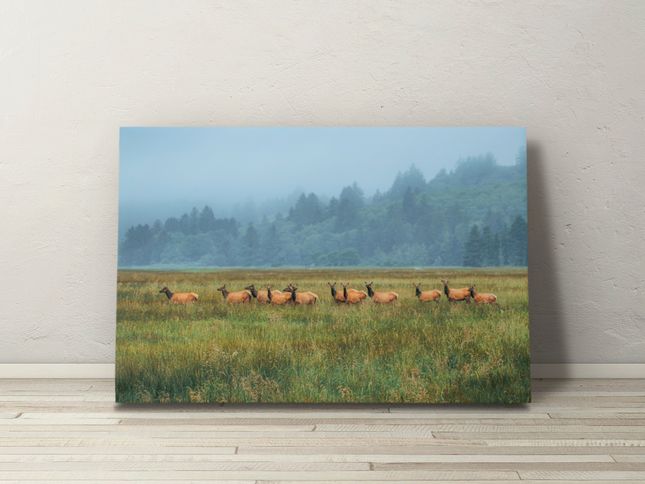 Pacific Northwest elk herd gathered in the Salmon River Estuary under a moody Oregon sky, ideal for large format nature canvas prints.