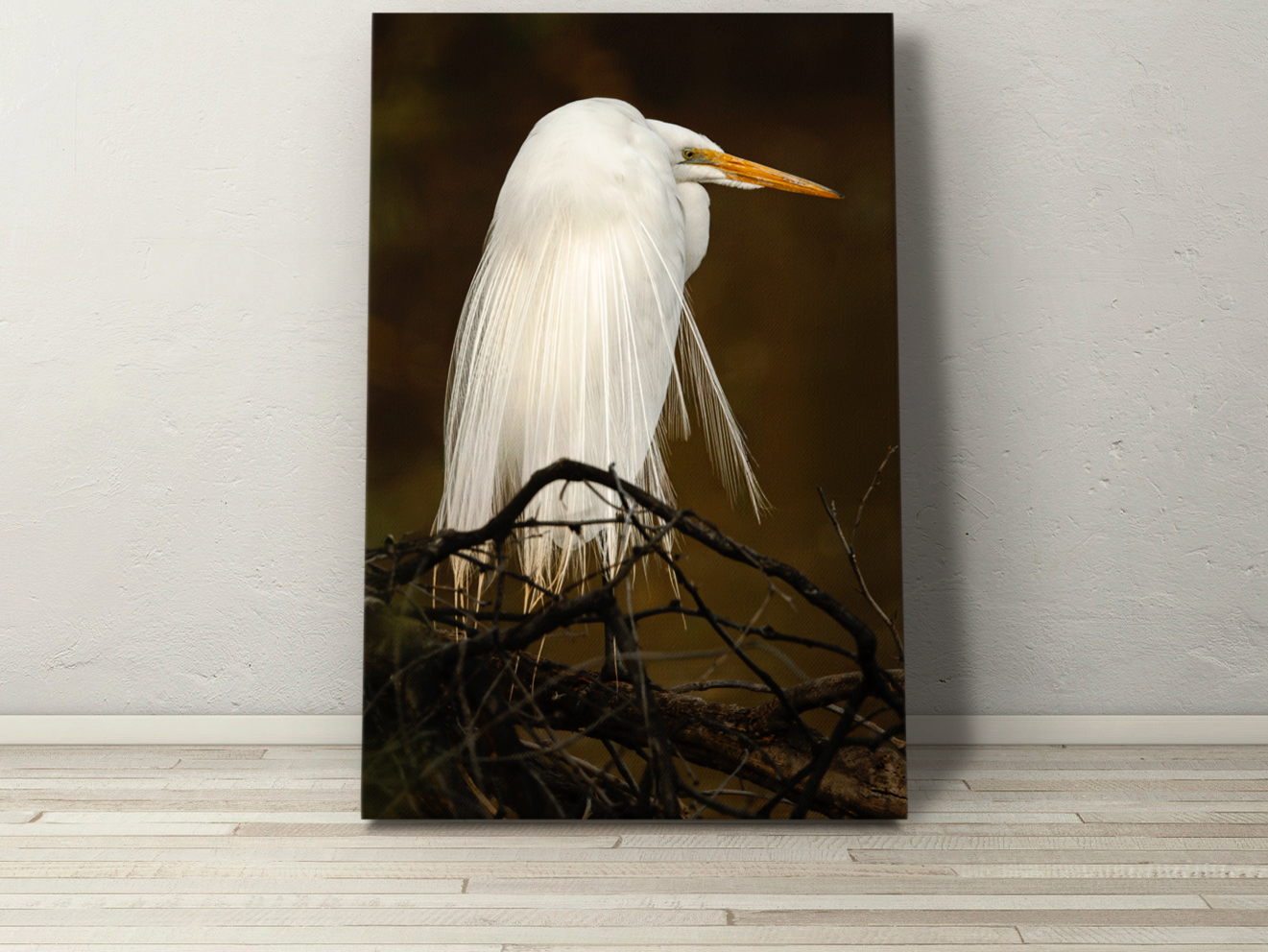 Gallery-wrapped canvas featuring a regal great egret resting on tangled branches under fading Oregon light.