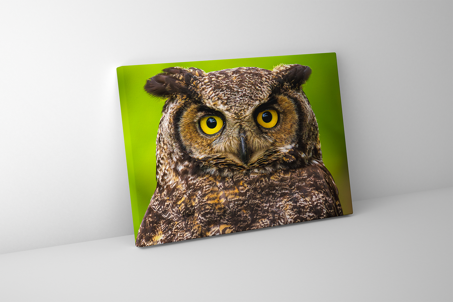 Gallery-wrapped canvas of a Great Horned Owl portrait, ideal for nature lovers and birdwatchers.