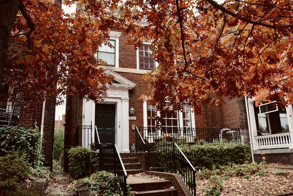 Lauren Corby Real Estate