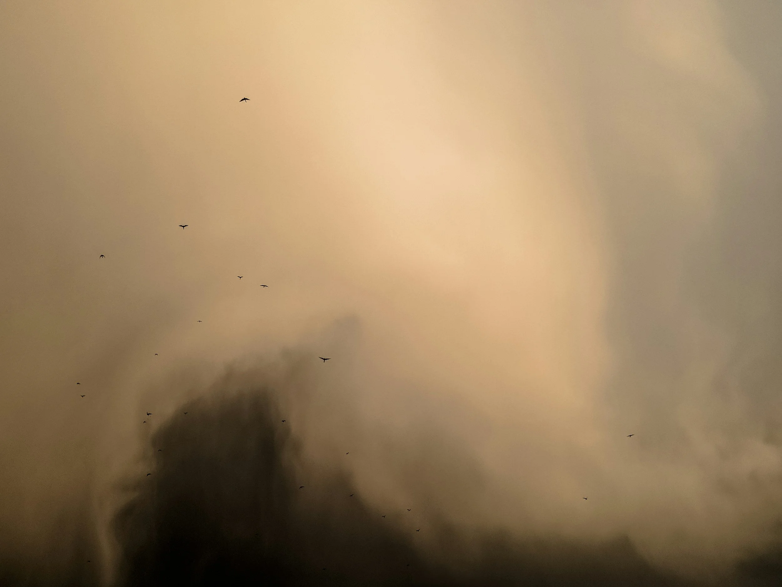 Dark storm clouds in the sky with small birds flying against a yellowish cloudy background.