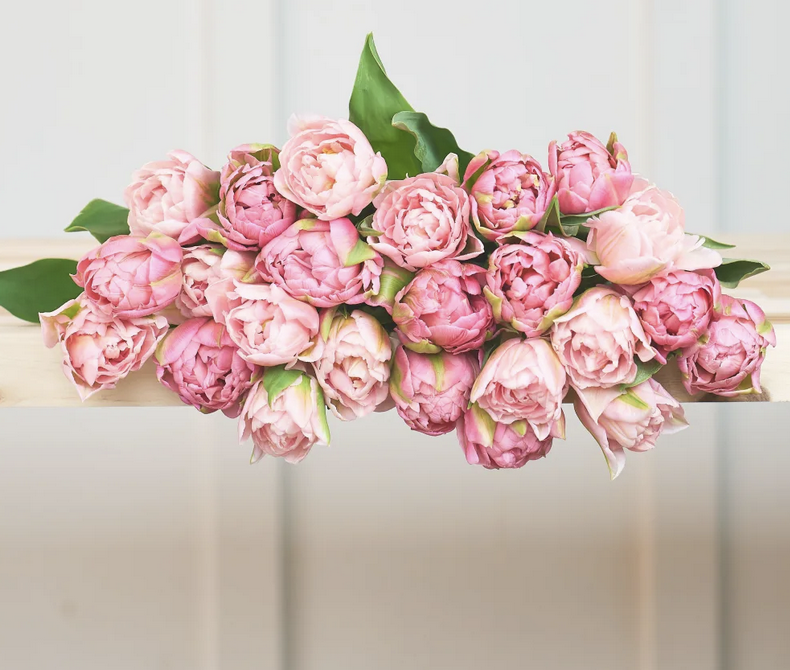 Screenshot 2026-04-11 at 12.30.31 PM.png