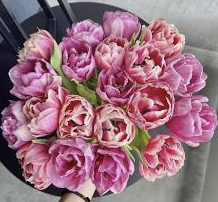 Screenshot 2024-04-14 at 5.39.37 PM.png