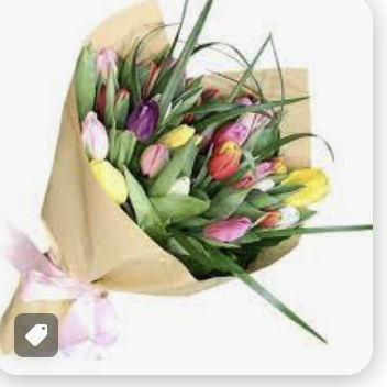 Screenshot 2023-12-01 at 11.51.31 AM.png