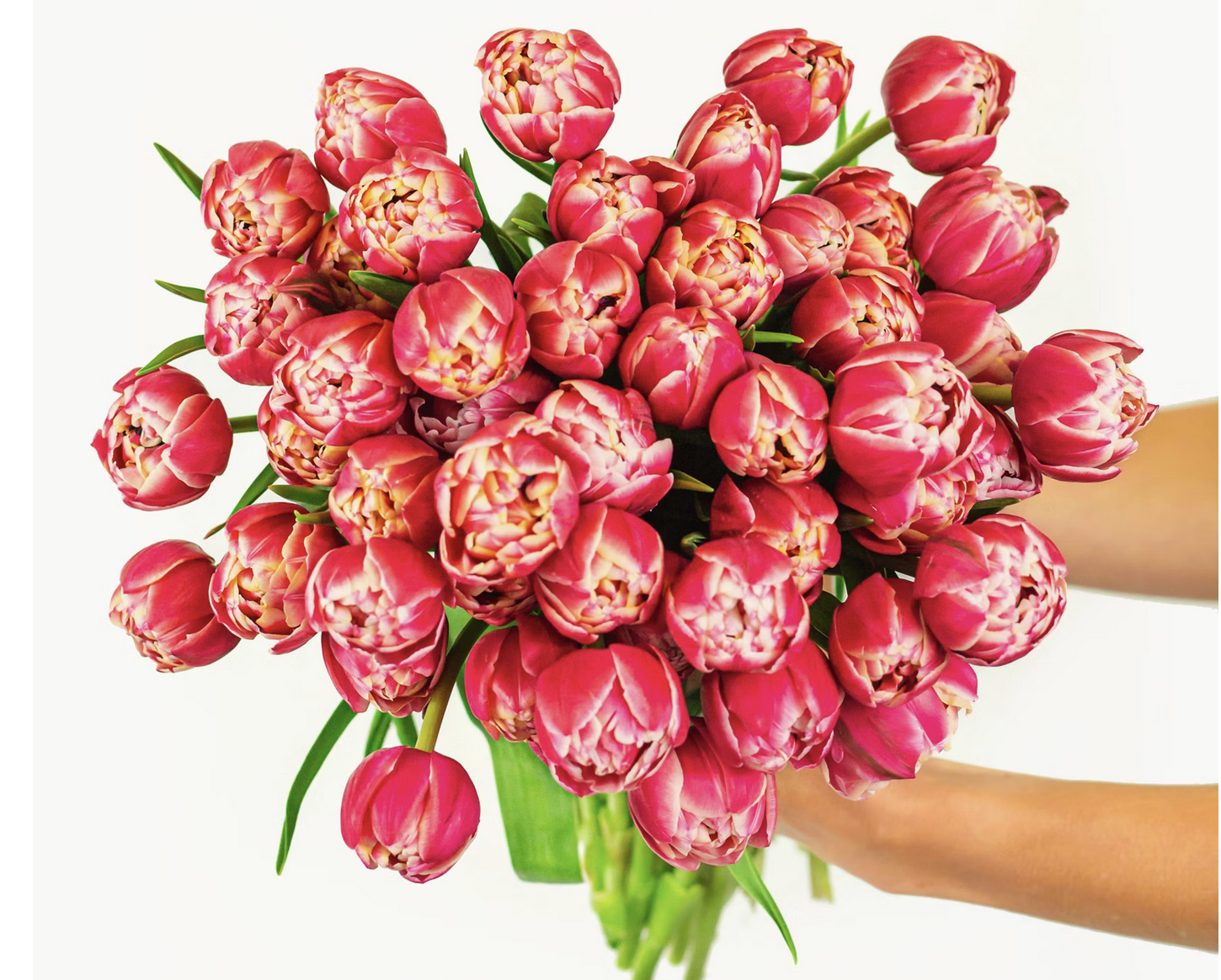 Screenshot 2023-11-30 at 3.55.52 PM.png