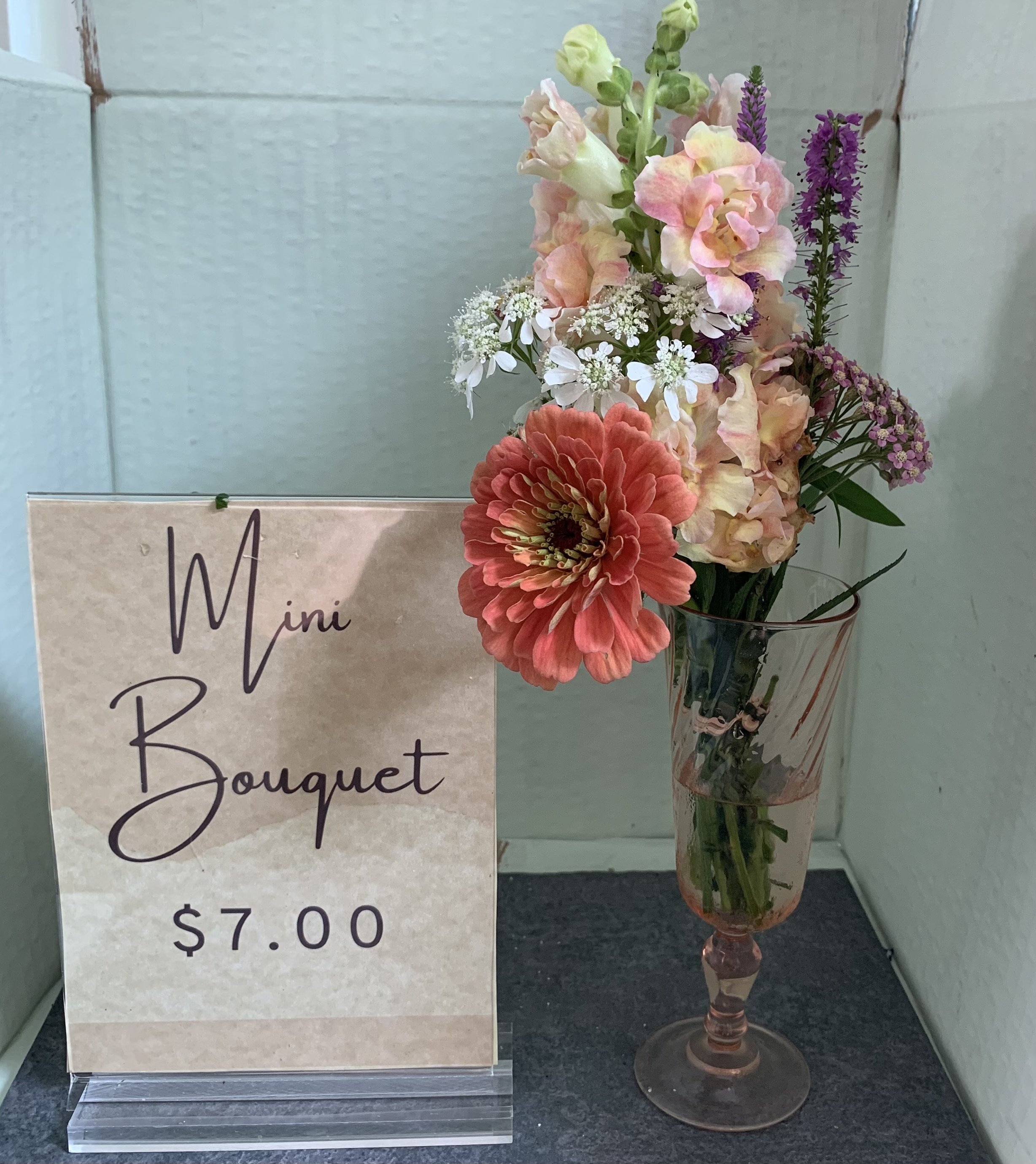 IMG_1362.jpeg