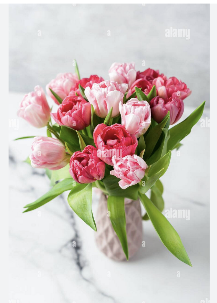 Screenshot 2023-11-30 at 4.06.03 PM.png