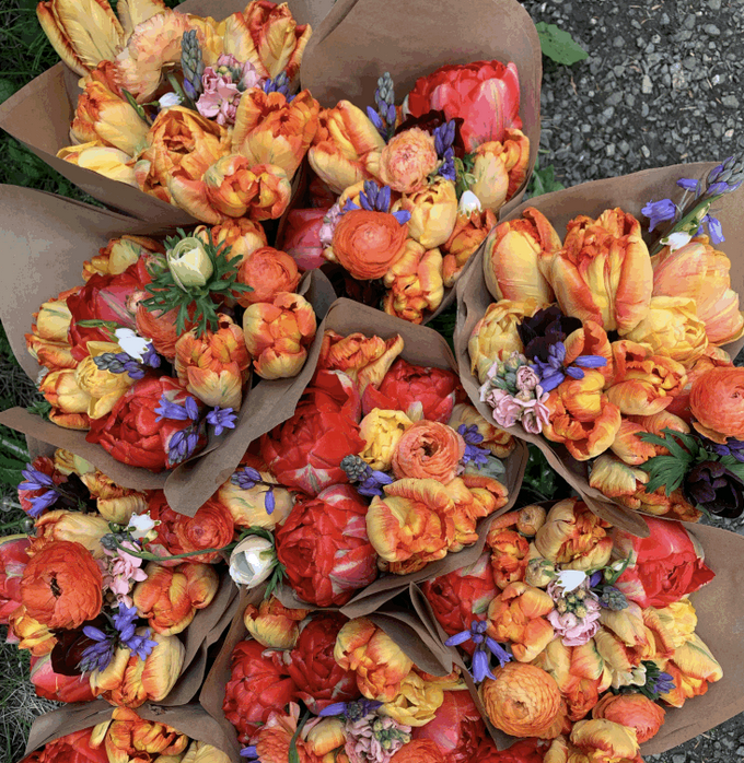 Screenshot 2026-03-01 at 5.33.24 PM.png