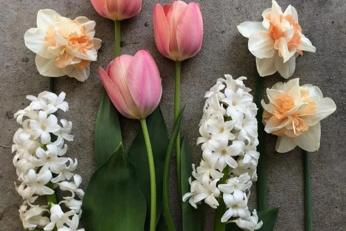 Screenshot 2024-11-13 at 12.48.45 PM.jpg