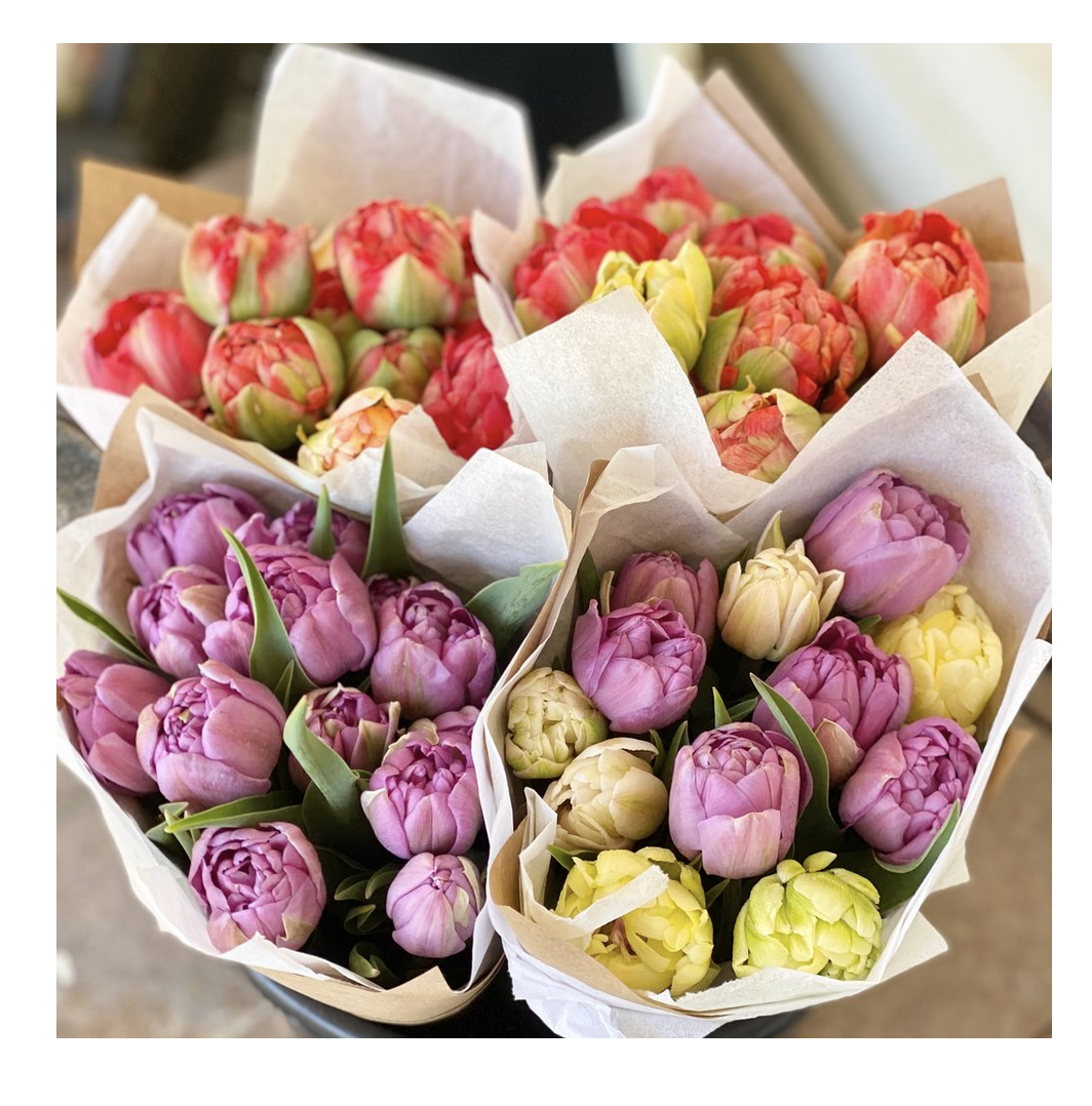 Screenshot 2023-12-06 at 5.43.22 PM.png