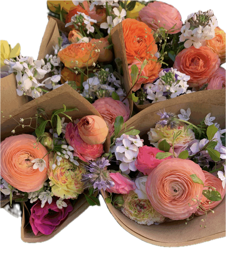 Screenshot 2026-03-01 at 5.33.01 PM.png