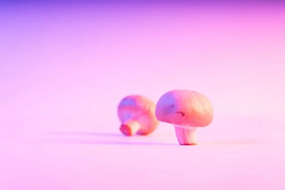 12 Steps to Start Your Own Microdosing Mushrooms Routine