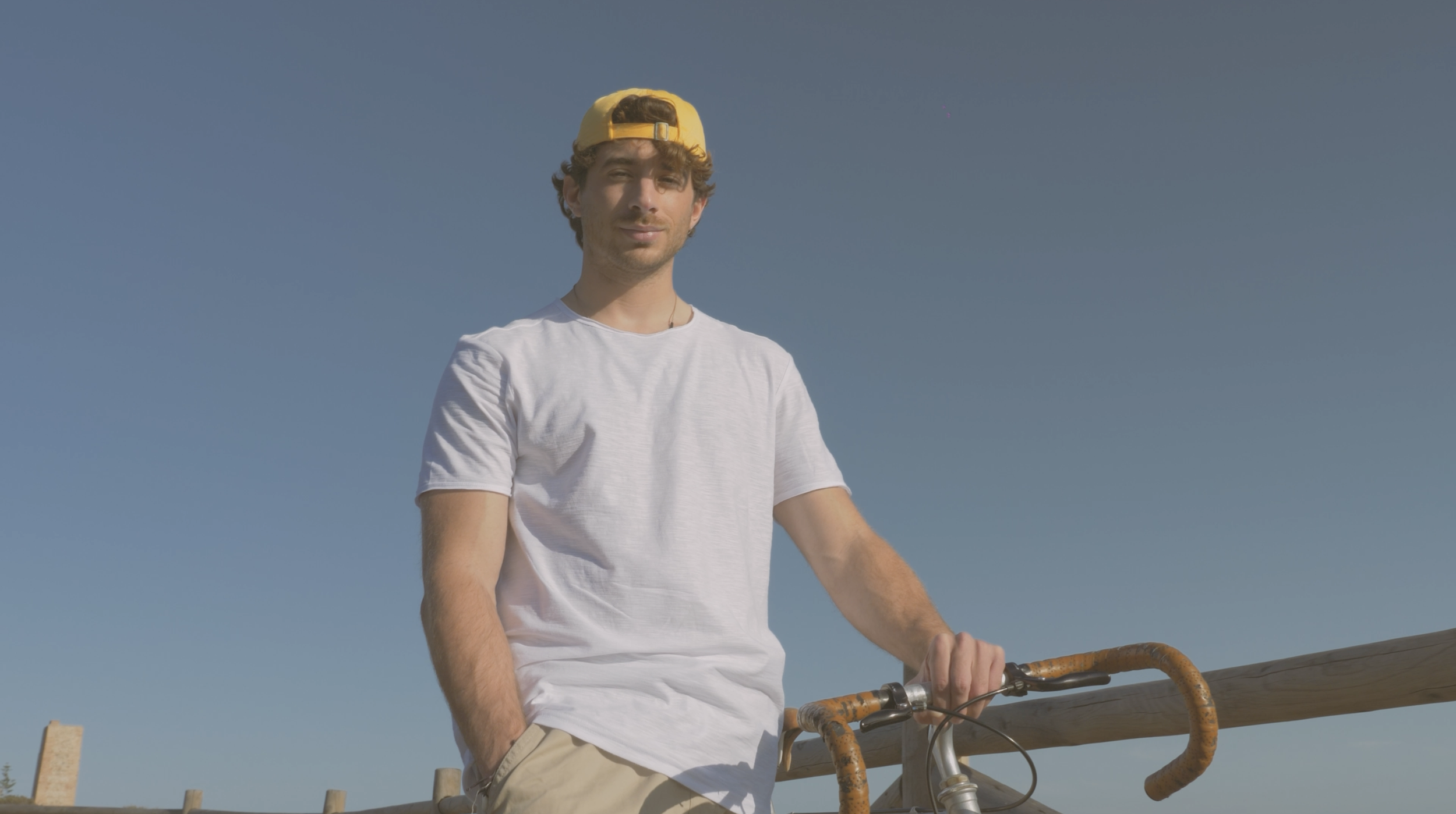 Parrotias T-shirt Collection