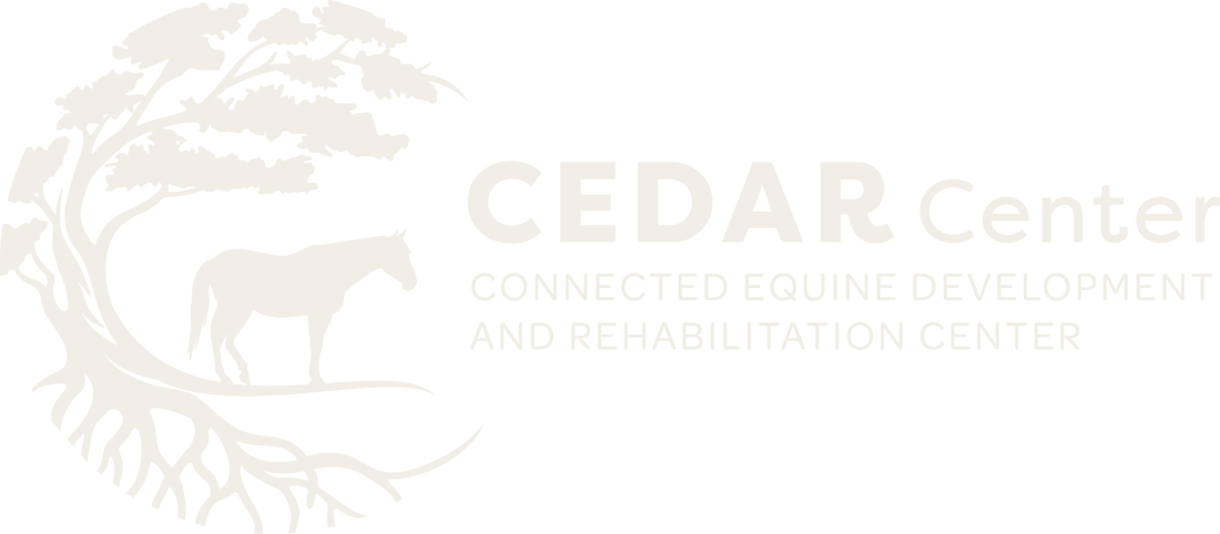 CEDAR Center