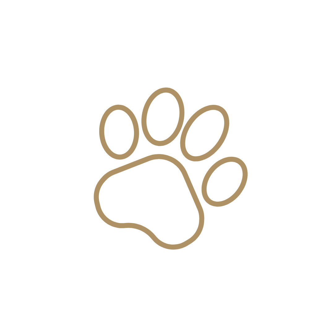Simple tan outline of a paw print on a blank background