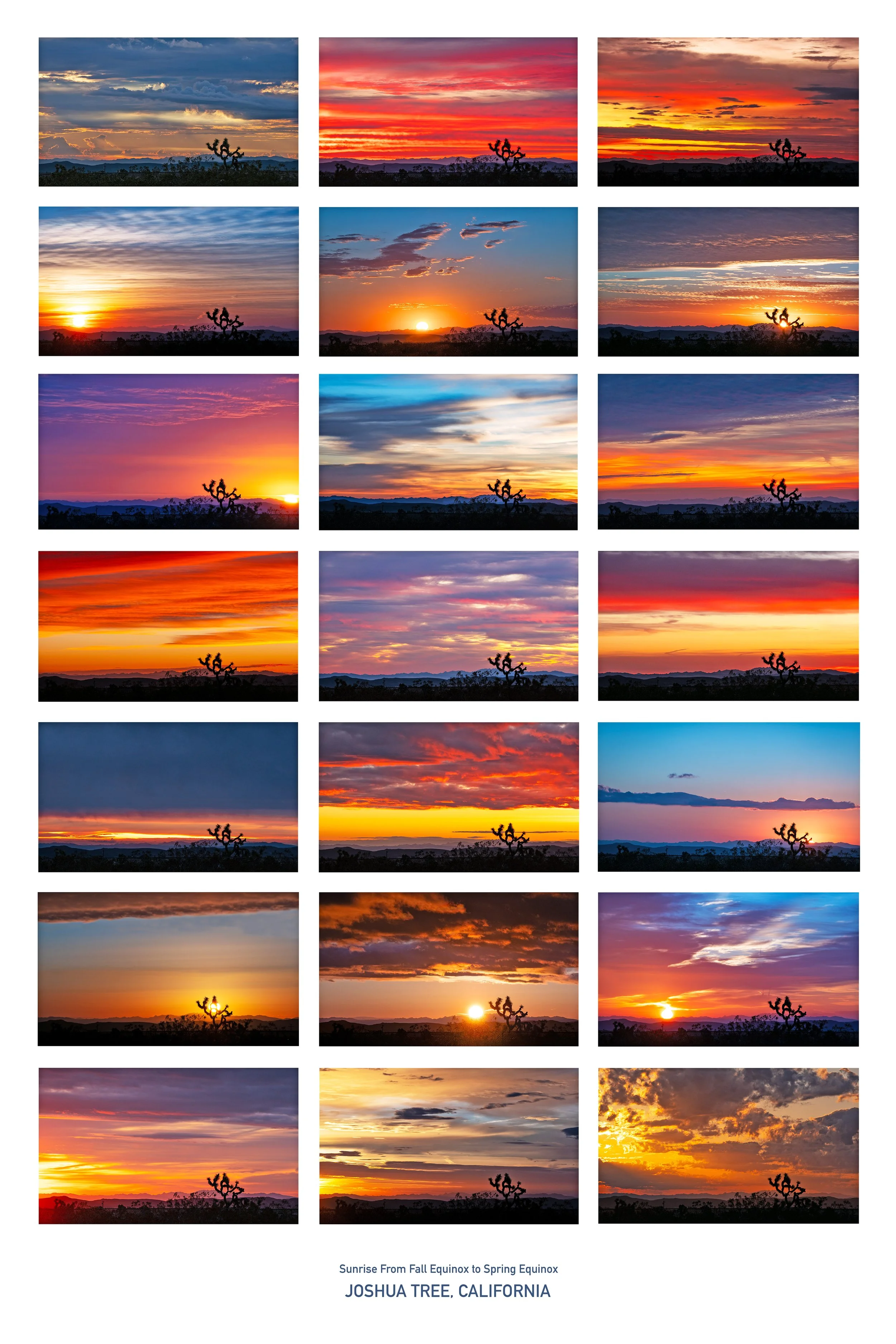 Available as a 24x36 poster. Please DM me for details. bonnie@bonniehawthorne.com