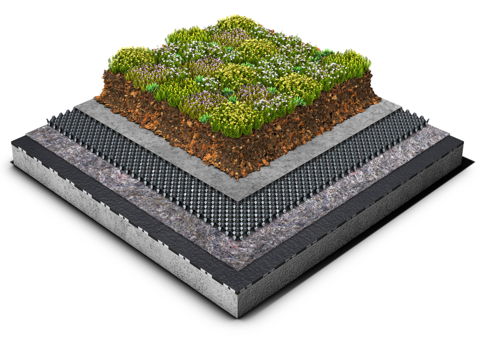 Sedum Roof with FD25