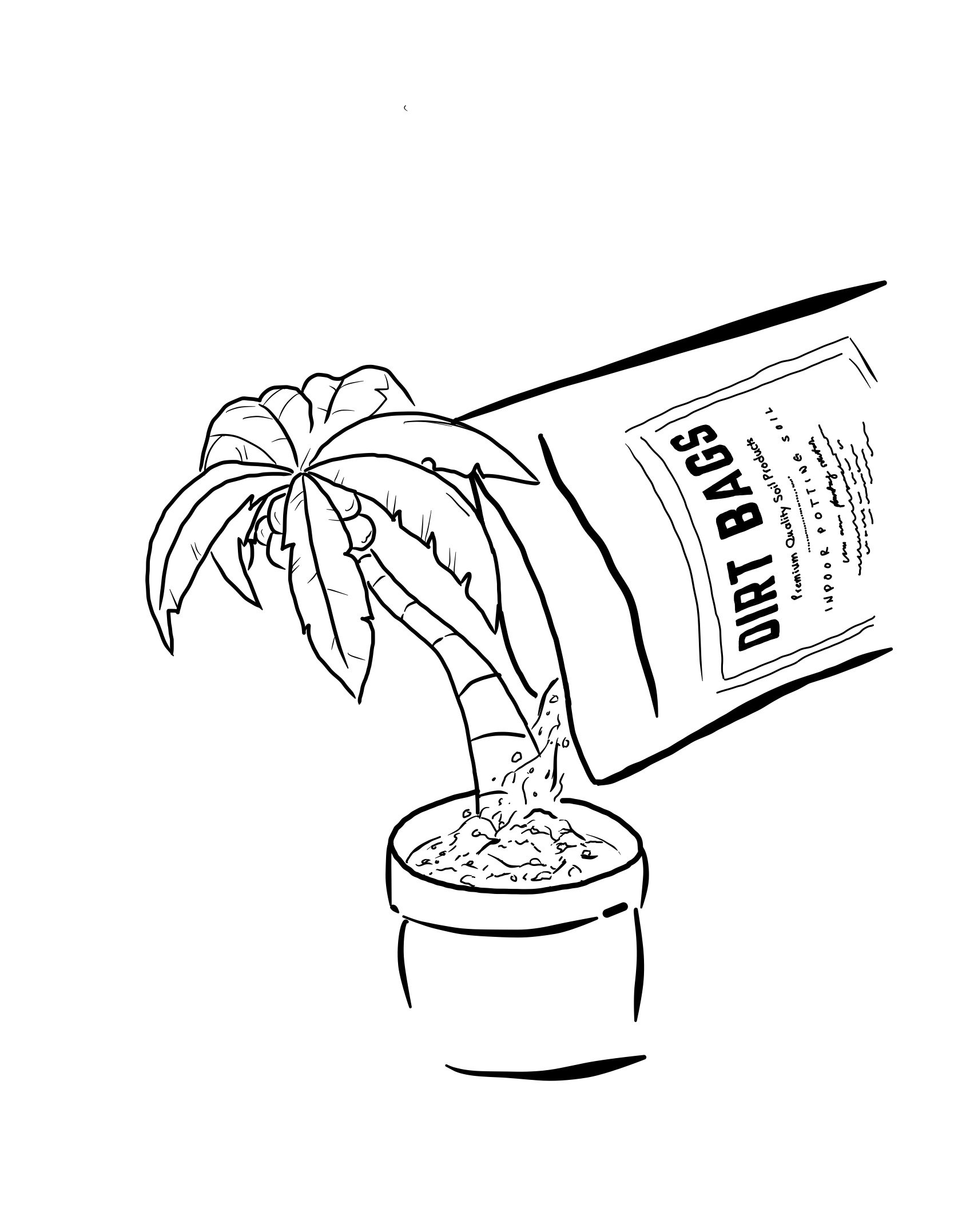 DB-Palm Tree.jpg