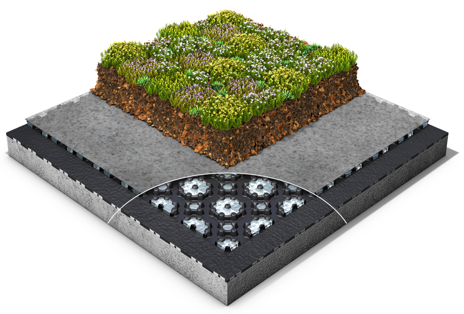 Sedum Roof XD20