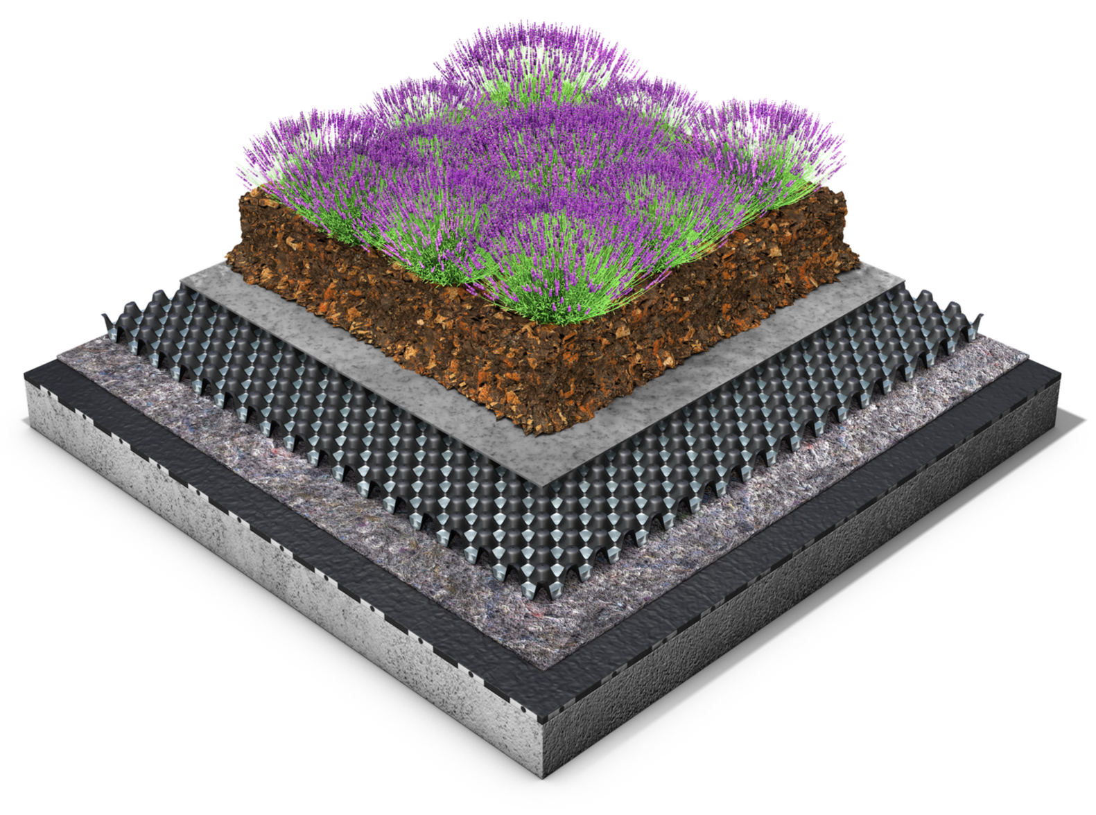 Perennial Garden with FD40