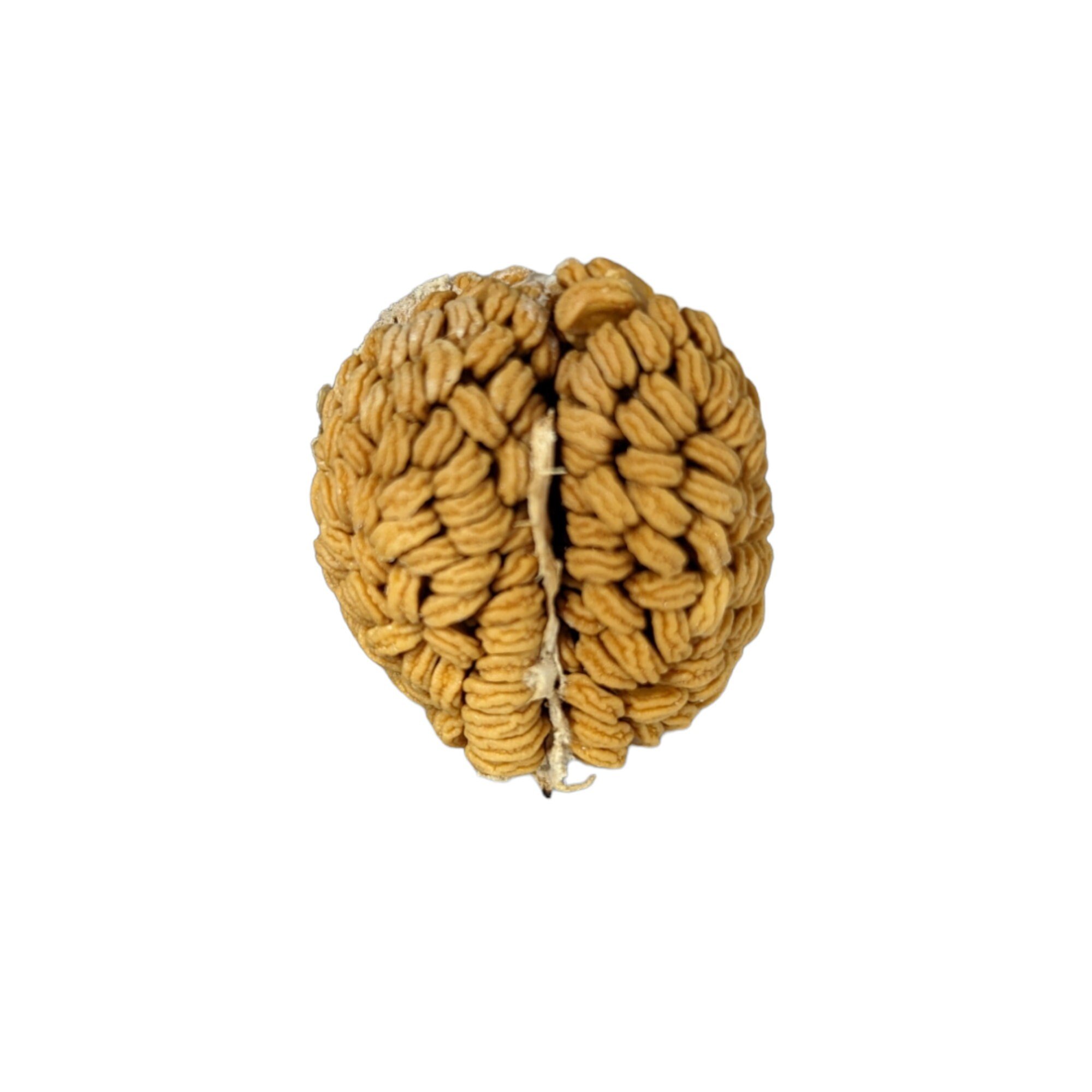 https://i.etsystatic.com/31508406/r/il/187dd3/4376906624/il_fullxfull.4376906624_s61r.jpg