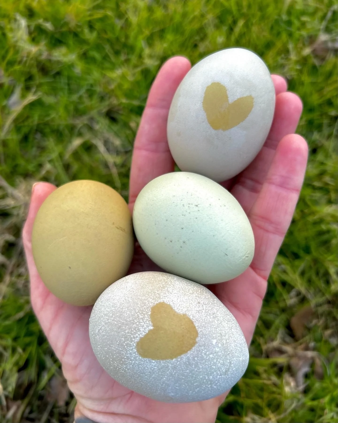 So, how about a heavy bloom? — Into the Meadows