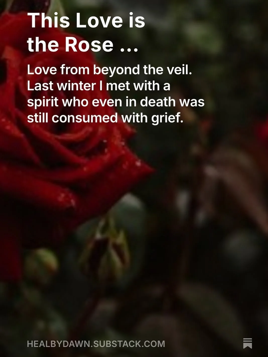 Love from beyond the veil ... Last winter I met with a spirit who, even in death, was still consumed with grief. She had one simple request, and I learned a very valuable lesson ... read more in my latest Substack post. 

Follow my substack for more 