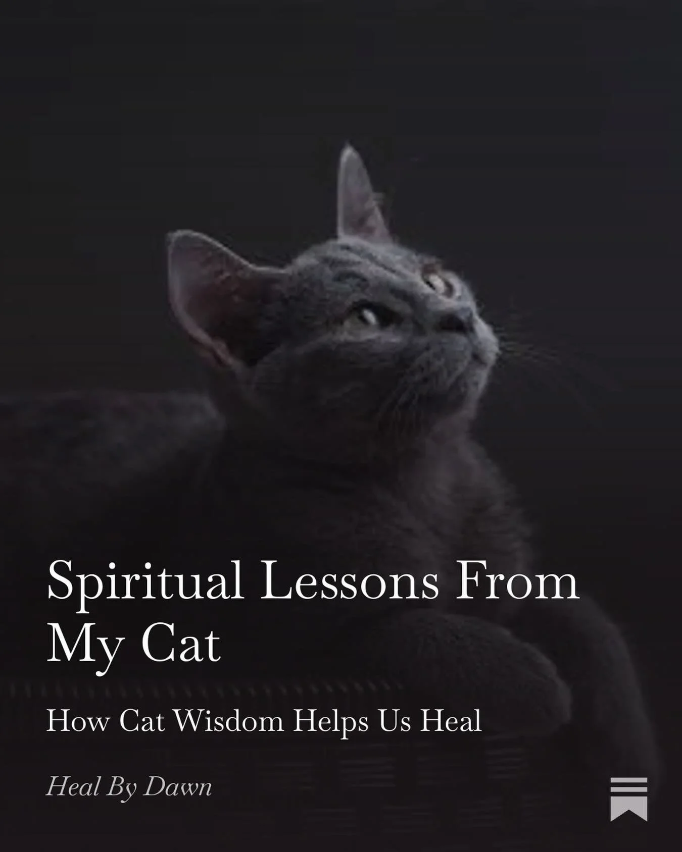 Healing doesn&rsquo;t always have to be grueling and hard. It can be gentle and playful, too. My Higher Self guided me to follow my cat&rsquo;s lead for some spiritual healing and this is what I learned. You can read the rest on my Substack - please 
