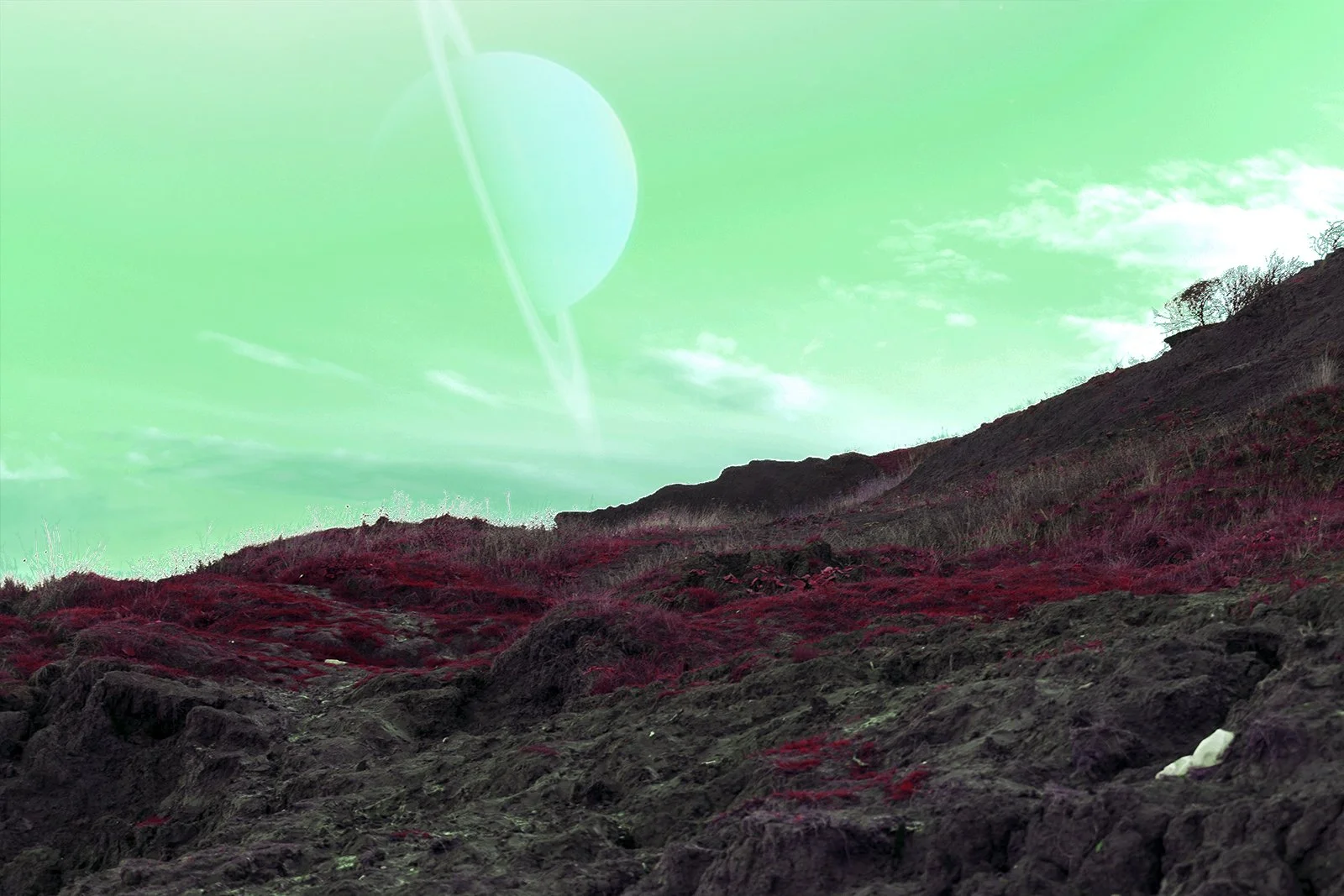 Nessus submission ready.jpg