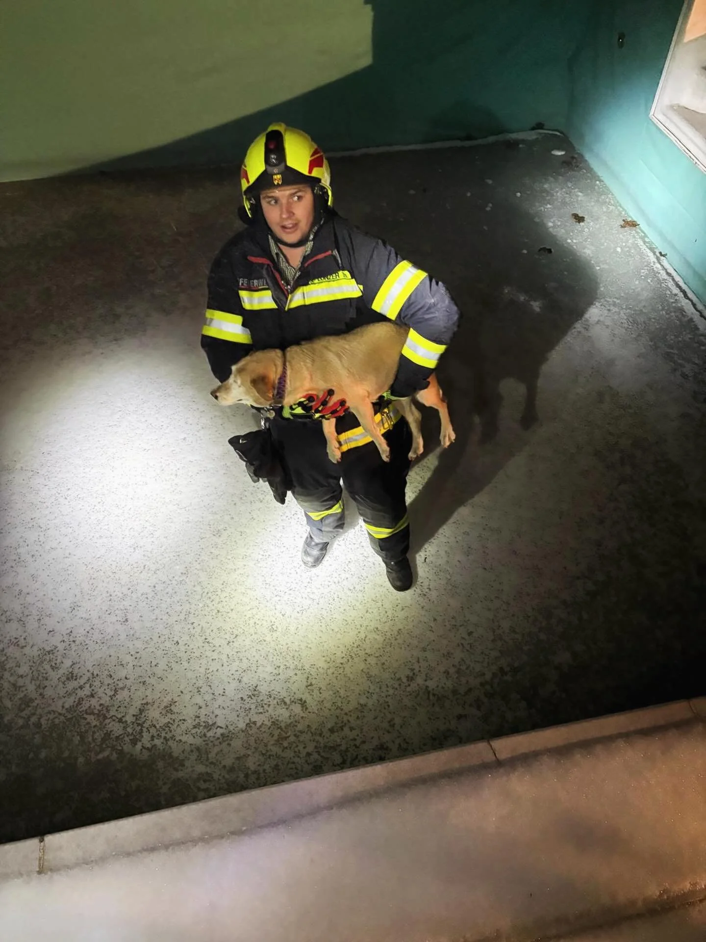 Stiller Alarm f&uuml;r die FF Edelstal - Tierrettung! 🚨🐶

Am heutigen Freitag, 23.01. wurden wir zu unserem dritten Alarm des Jahres gerufen. Die Landessicherheitszentrale informierte uns &uuml;ber einen in Notlage geratenen Hund. Nur wenige Minute