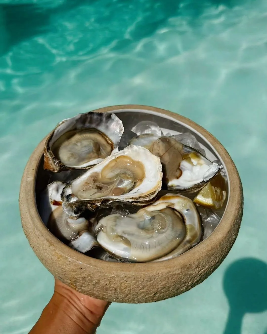 Fresh oysters. Cool water.
Honestly&hellip; name a better combo.