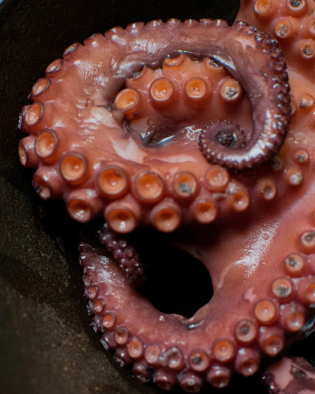 Fresh octopus, skewers or grilled for dinner - your call.