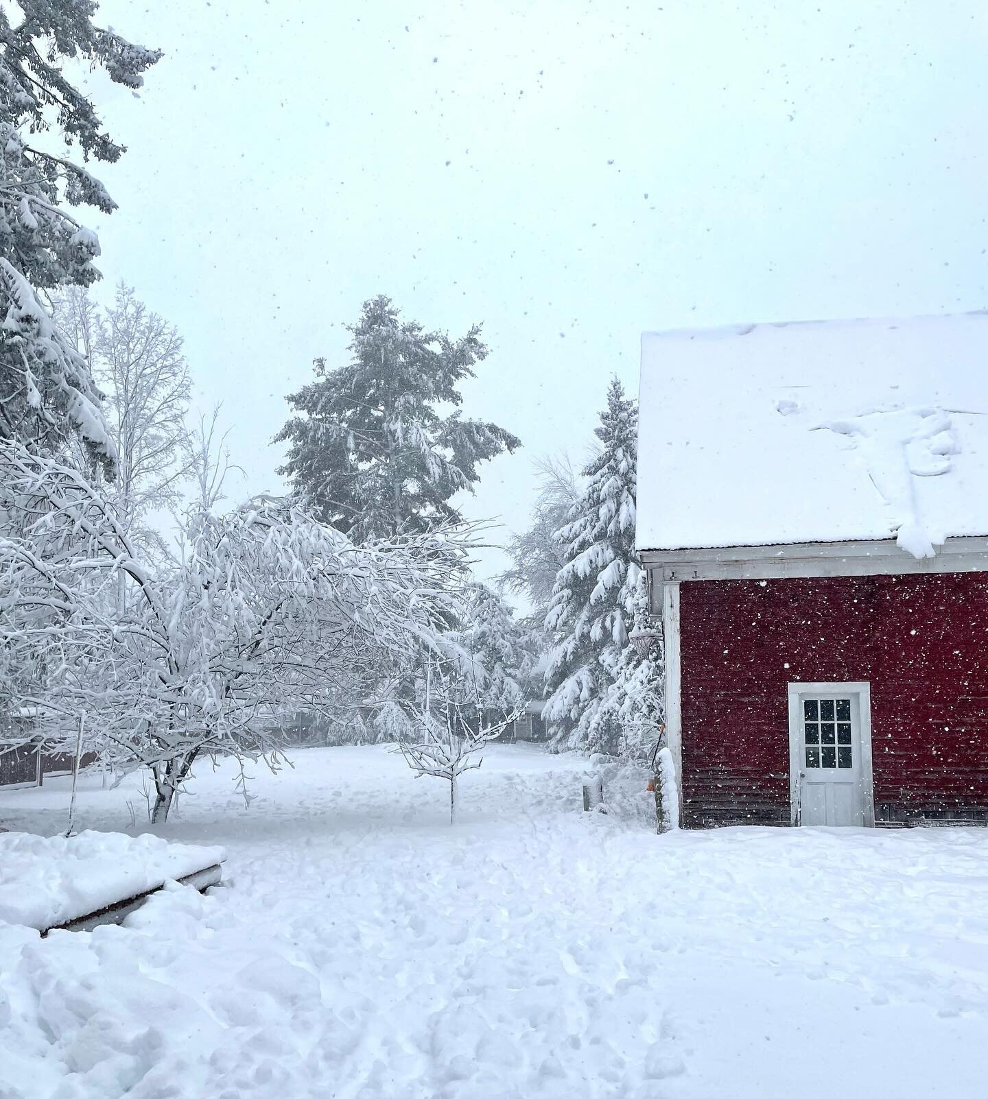 This is spring in Maine and I&rsquo;m not mad about it. Another day to rest and be together warm by the fire sipping tea. Without power to fuel the distractions of work or screens. Just us and our little place in the world. #springcozies