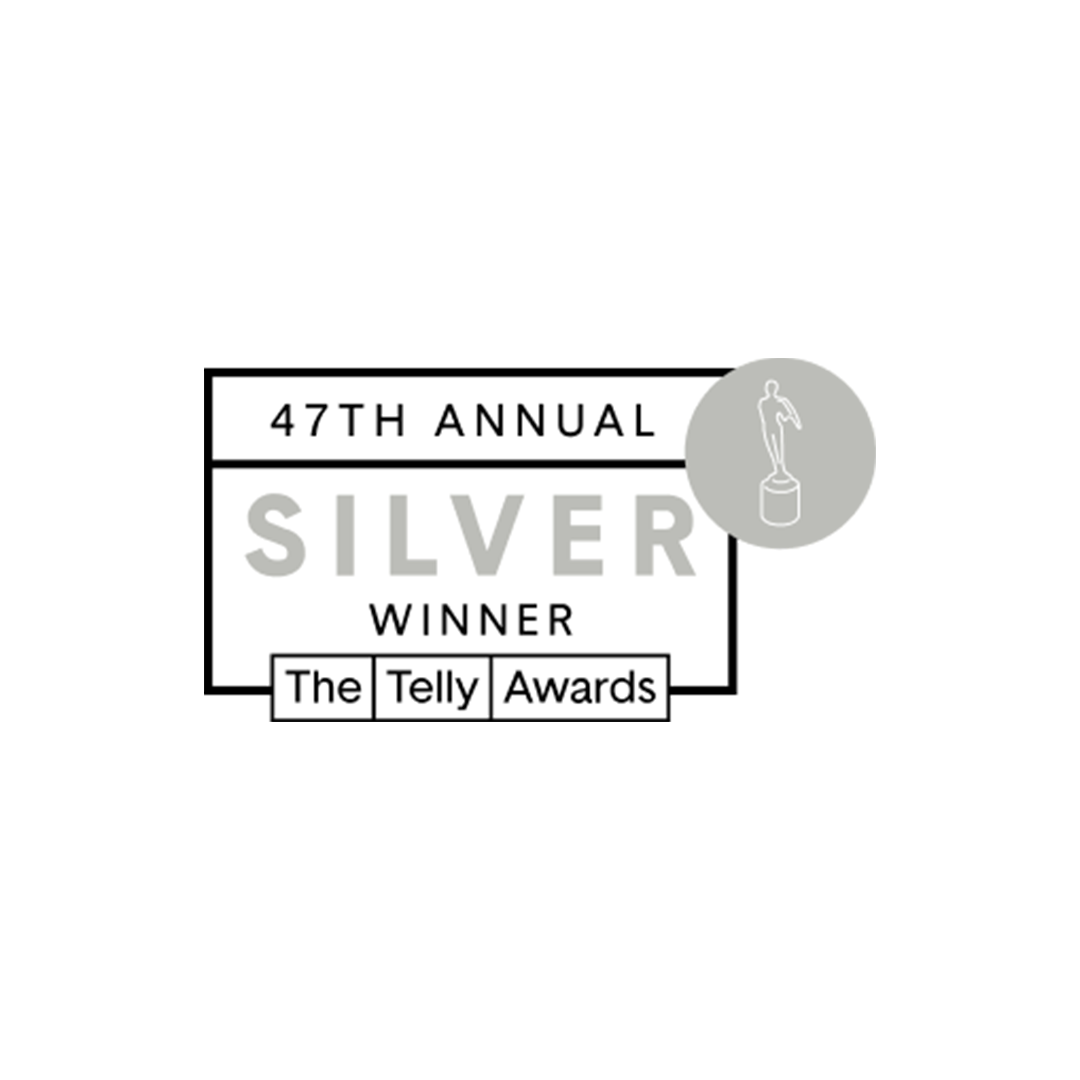 Telly Winner Silver.png