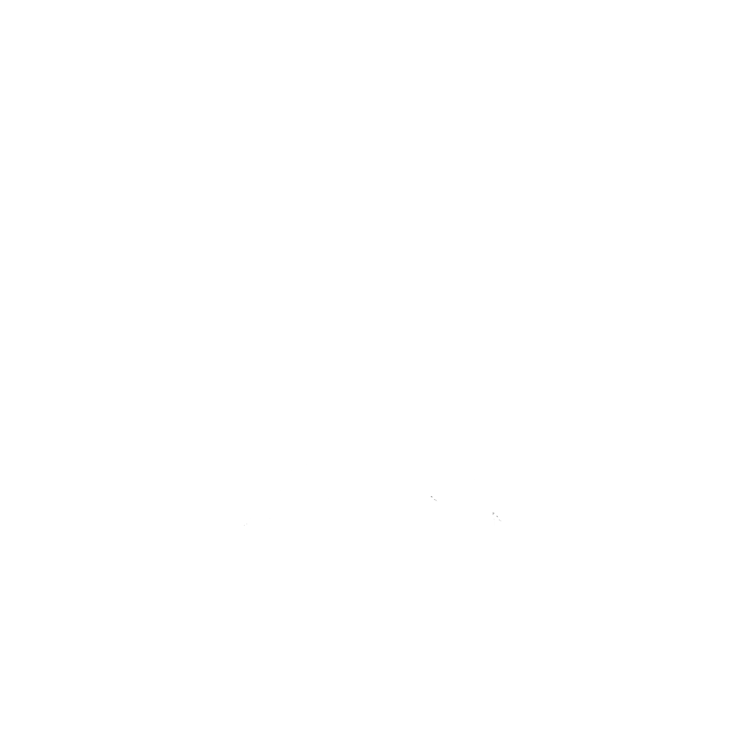 Ouray.png
