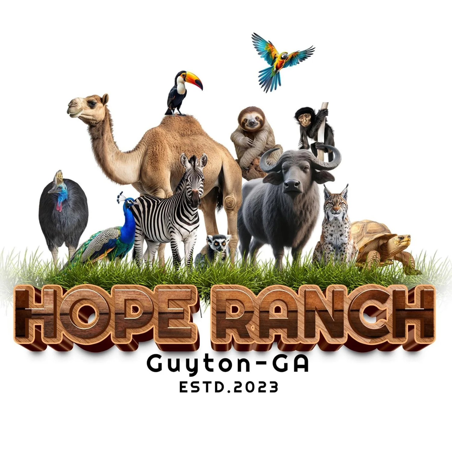 Hope Ranch