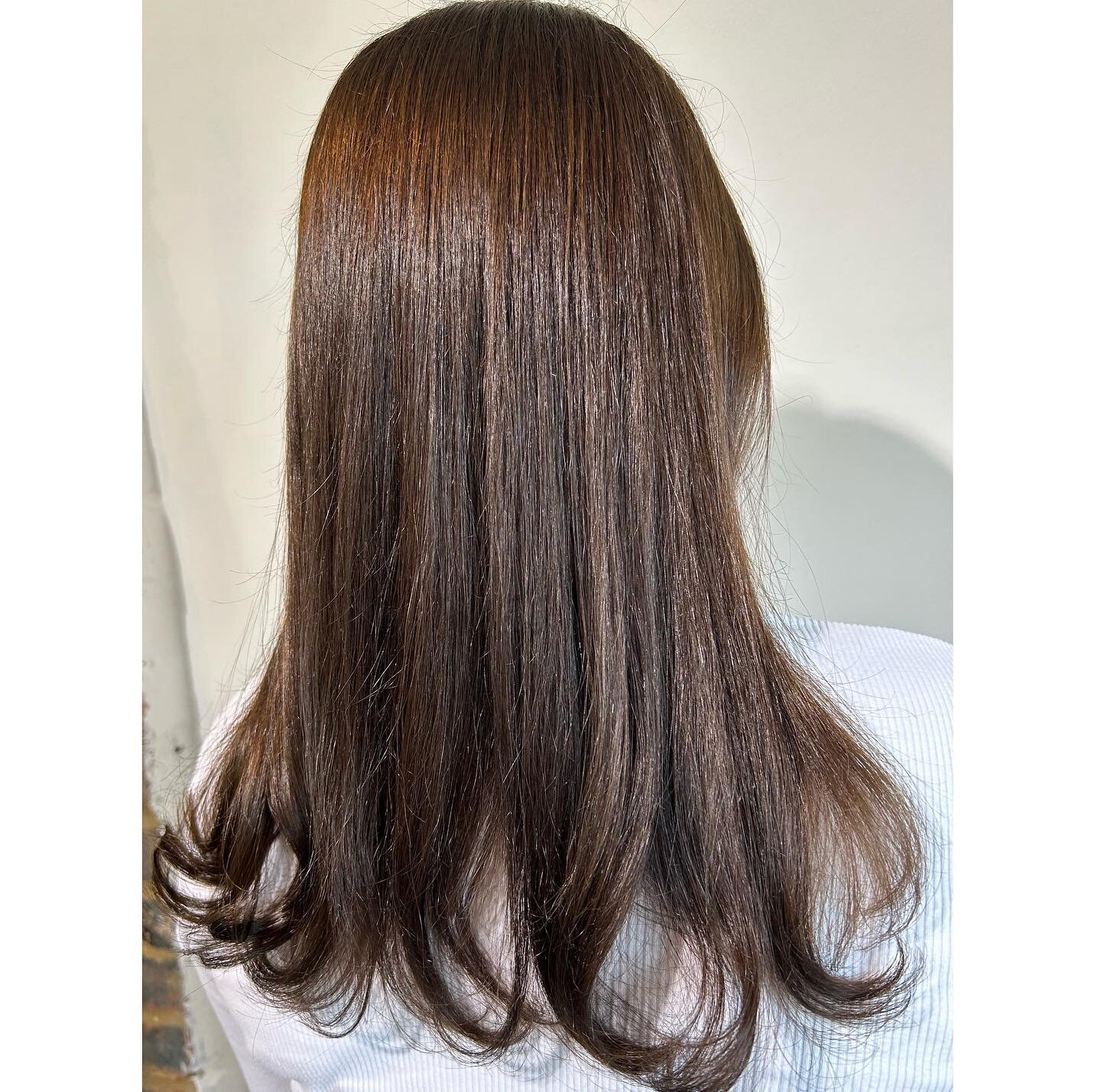 Glossy brunette, finished with a flicky blow-dry🐻🤎 #hairdresser #hair #newhair #glossyhair #diarichesse #loreal #lorealpro #lorealsalon #lorealprouk #stylist #hairfashion #hairbrained #hairtutorial #hairtransformation #salonlife #hairdresseruk #ukh