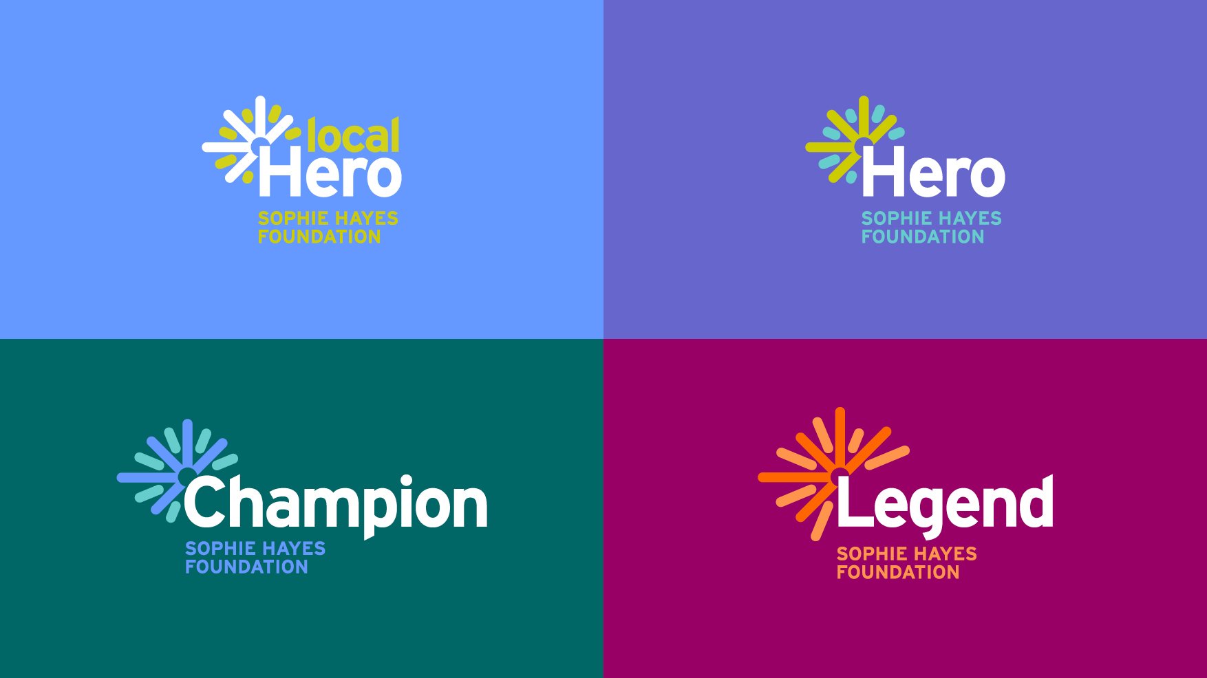 Sophie Hayes Foundation brand identity. Initiative branding. Partner Up.