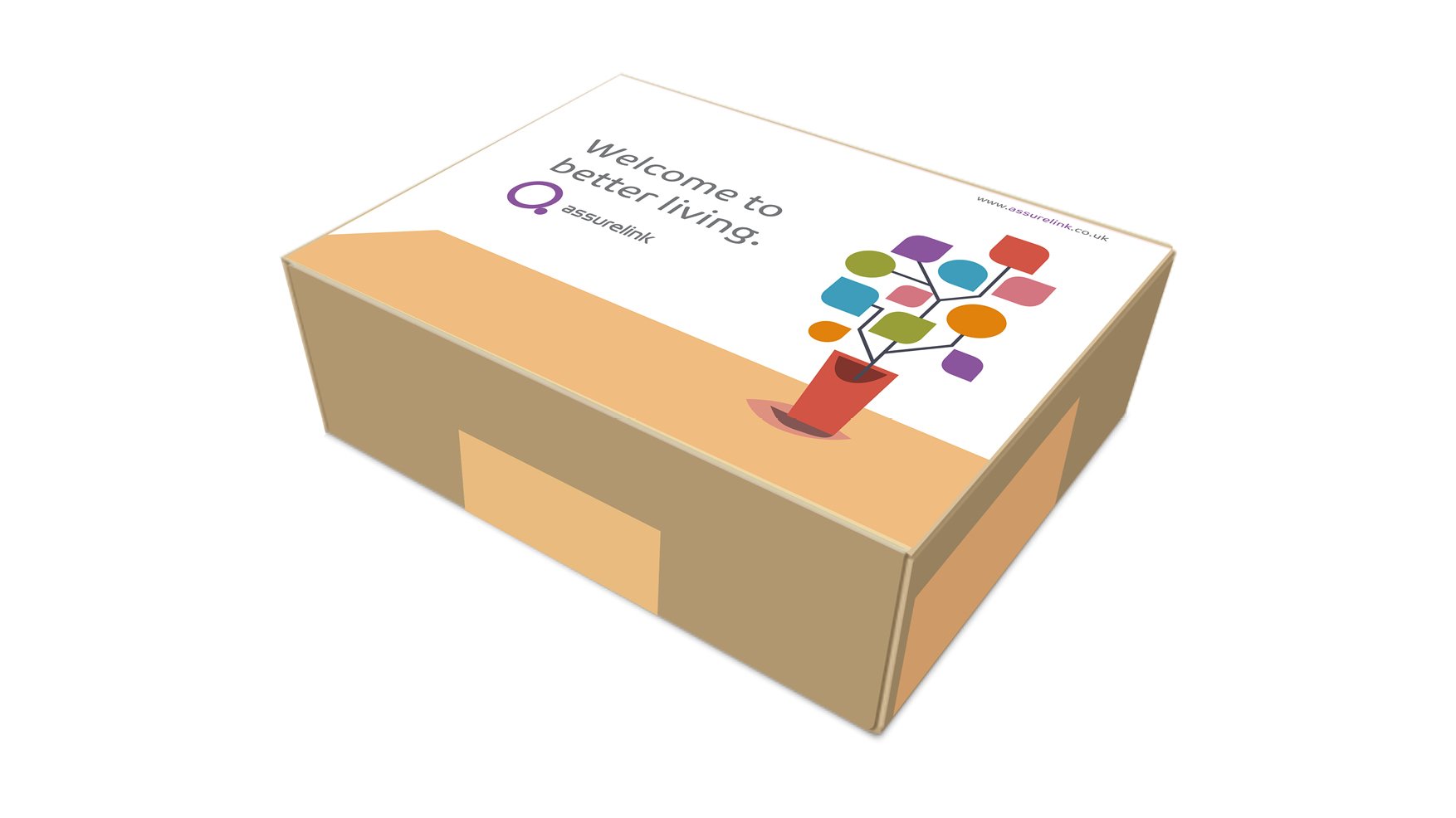 Assurelink brand identity design. Brand packaging design.