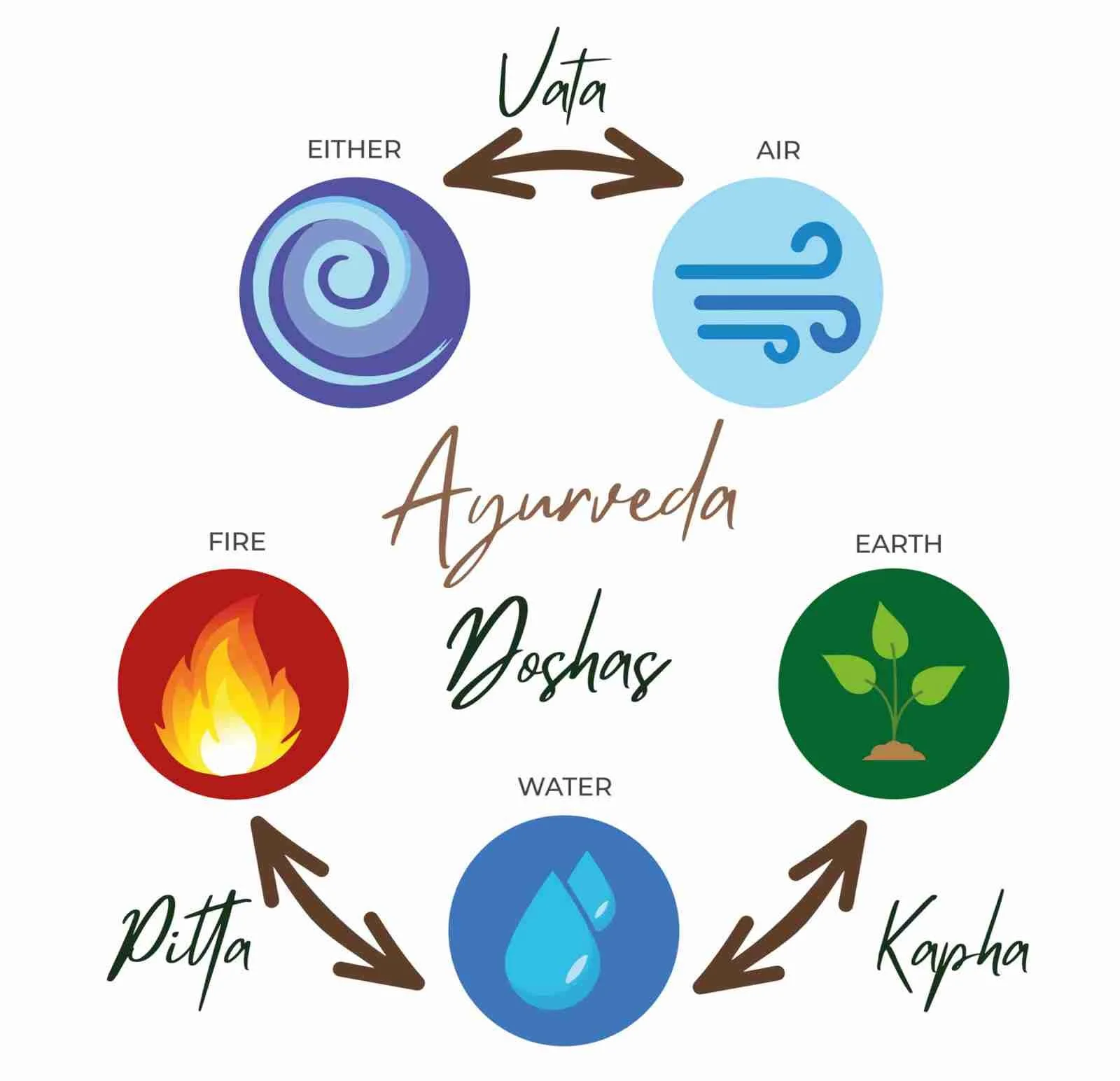 Understanding the Doshas: A Beginner's Guide to Vata, Pitta, and Kapha