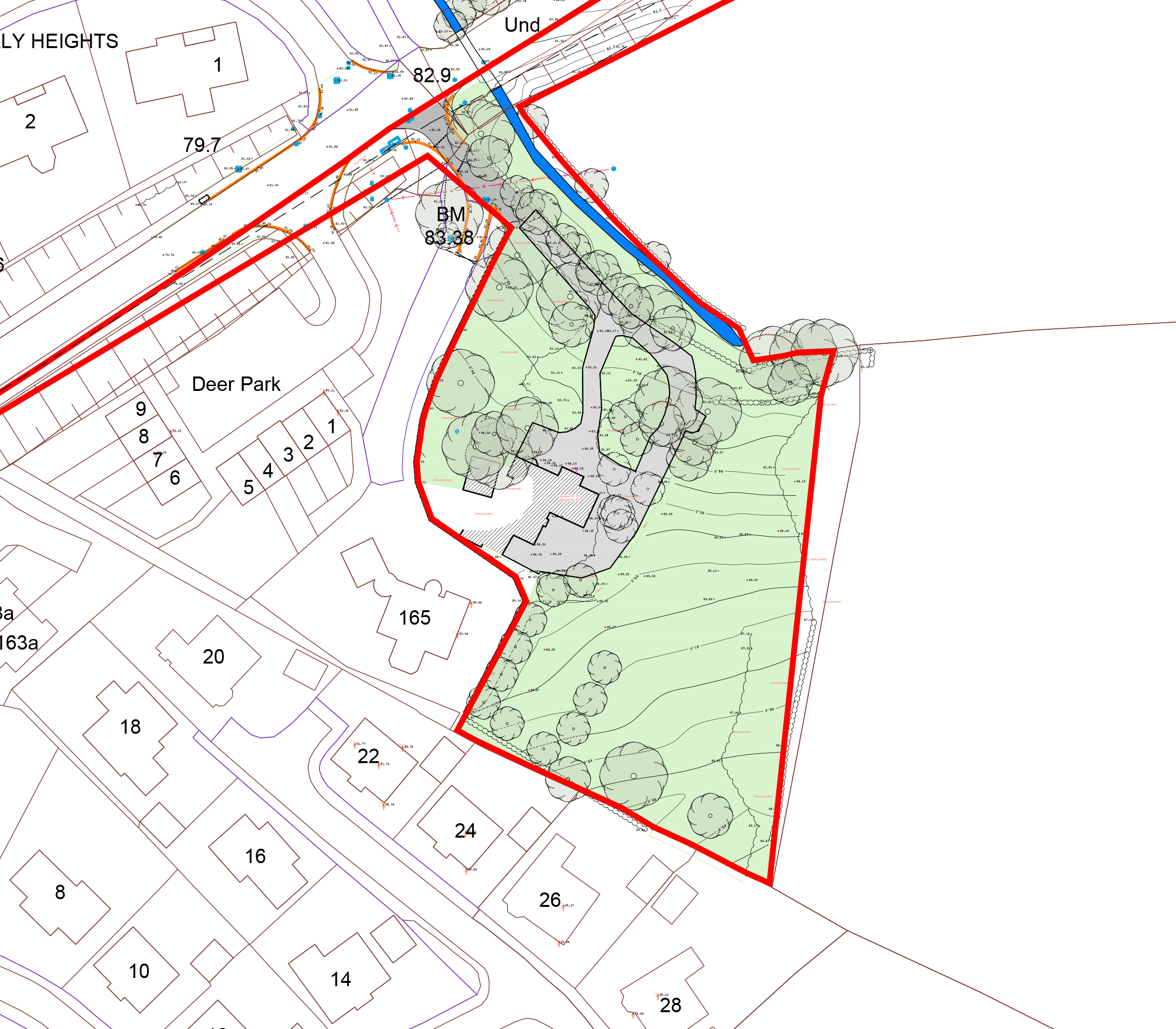 Forest House existing site plan