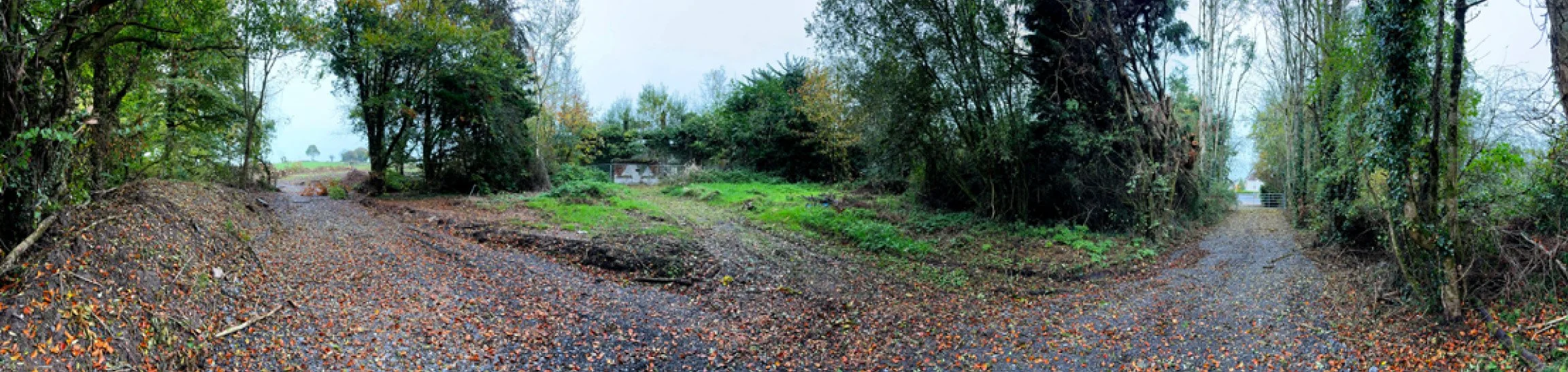 Forest House site photo