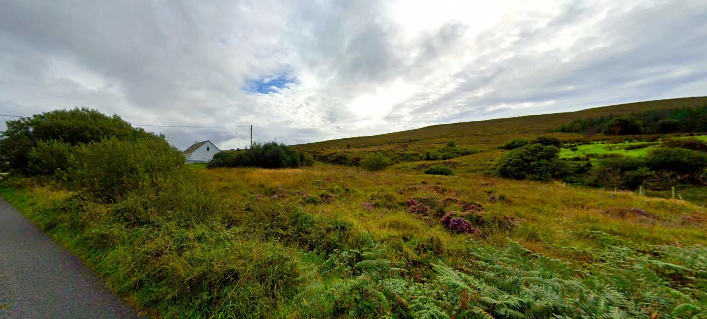 Site photo