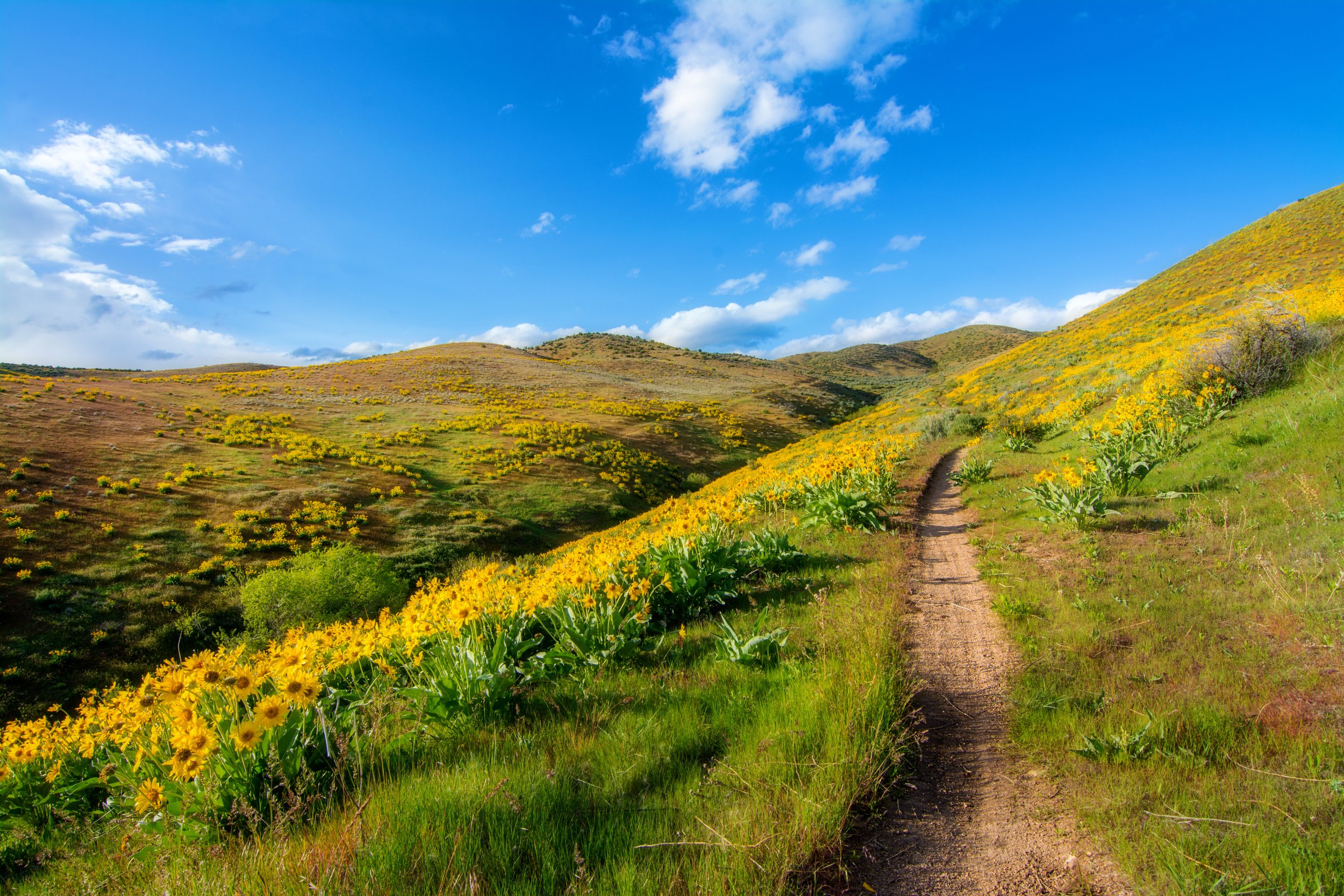 AdobeStock_323507324.jpeg