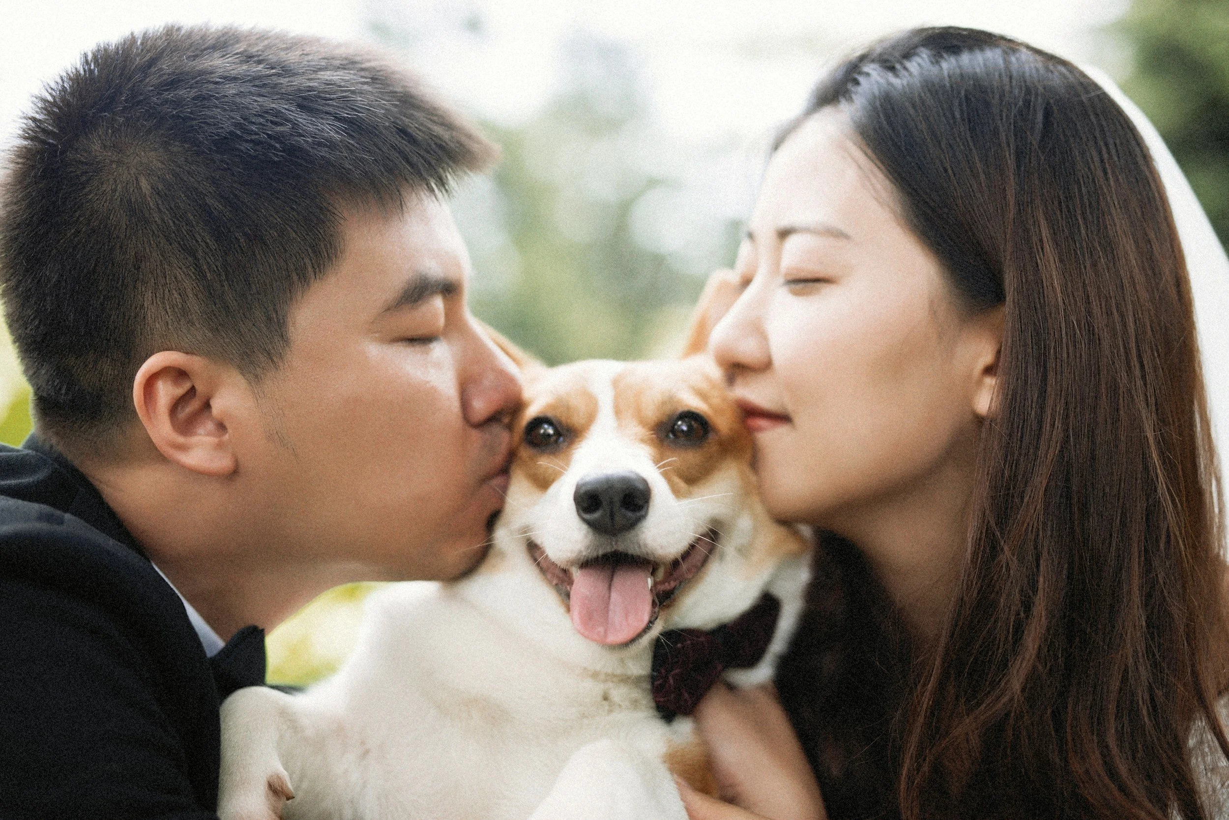 A young man and woman both with closed eyes are kissing a dog in the center who is smiling.