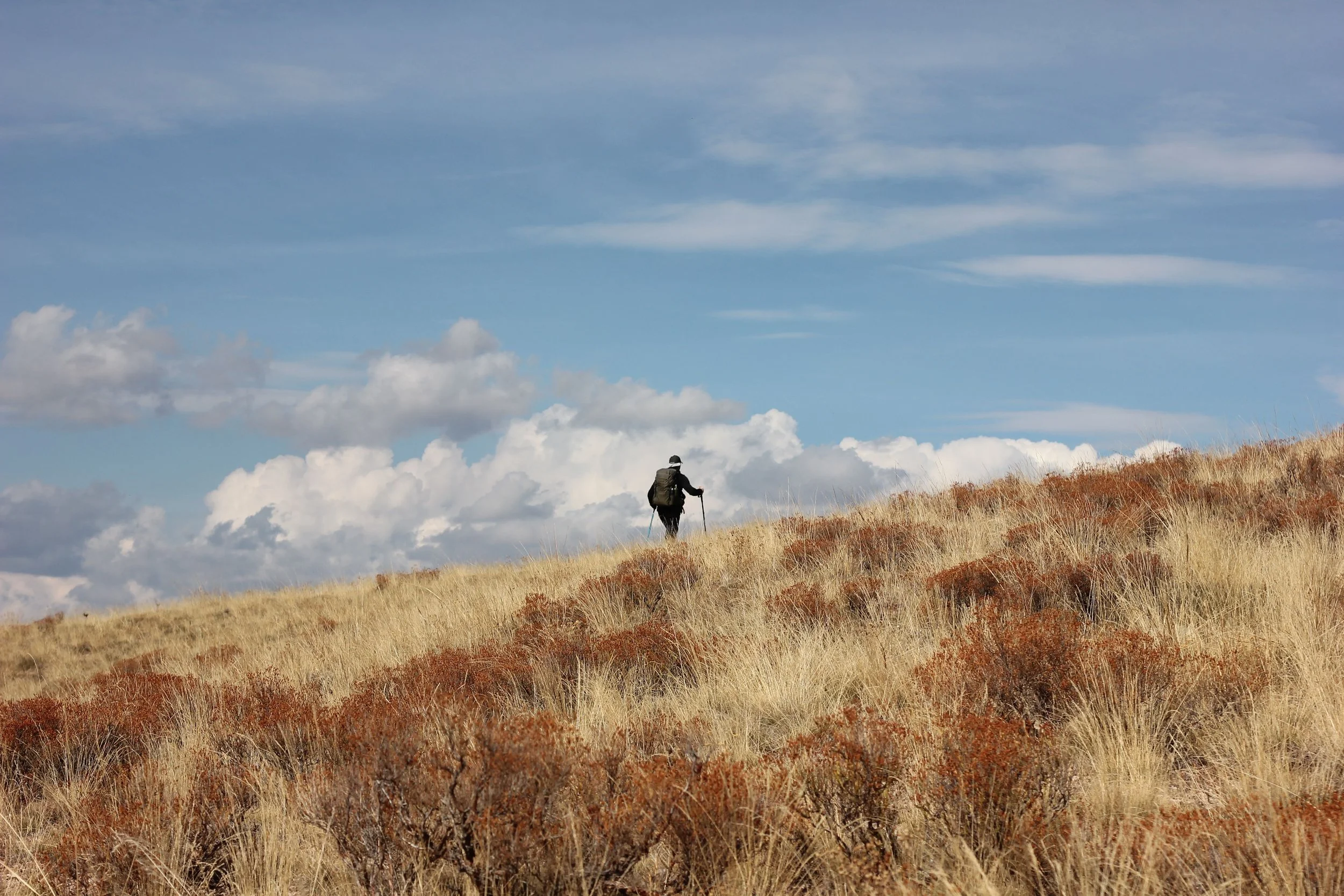 Why Harris Ranch Feels Different