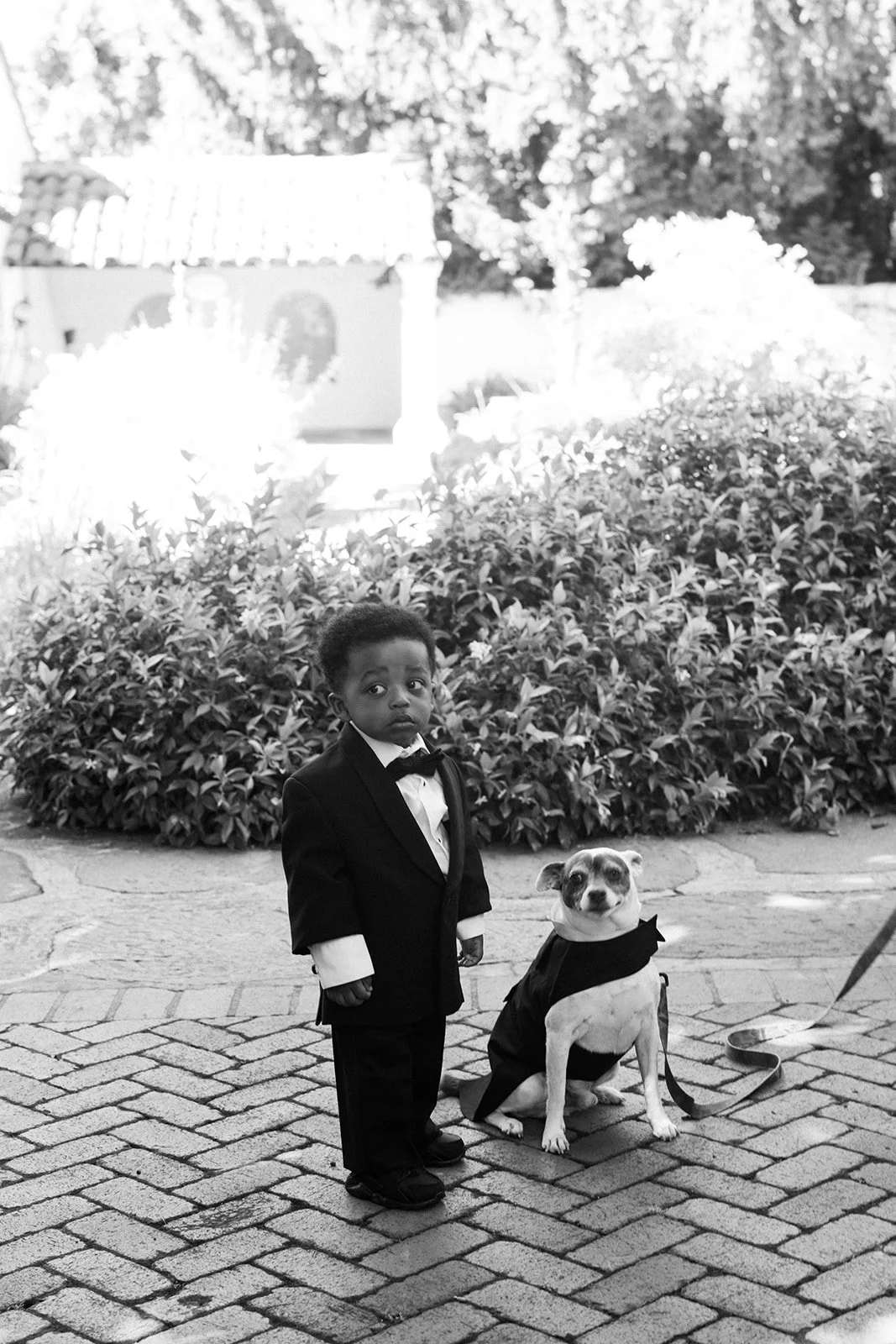 Allied Arts Guild San Francisco Micro Wedding Emily Magers Photography-143.jpg