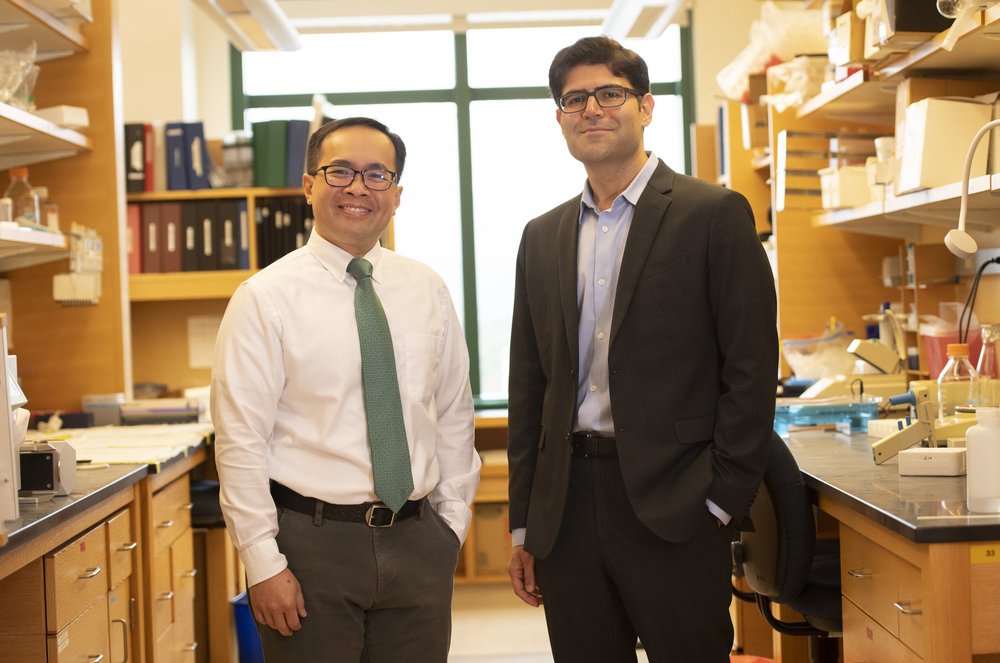 Ashraf Rasheed Lab Research — Hassanpour Lab