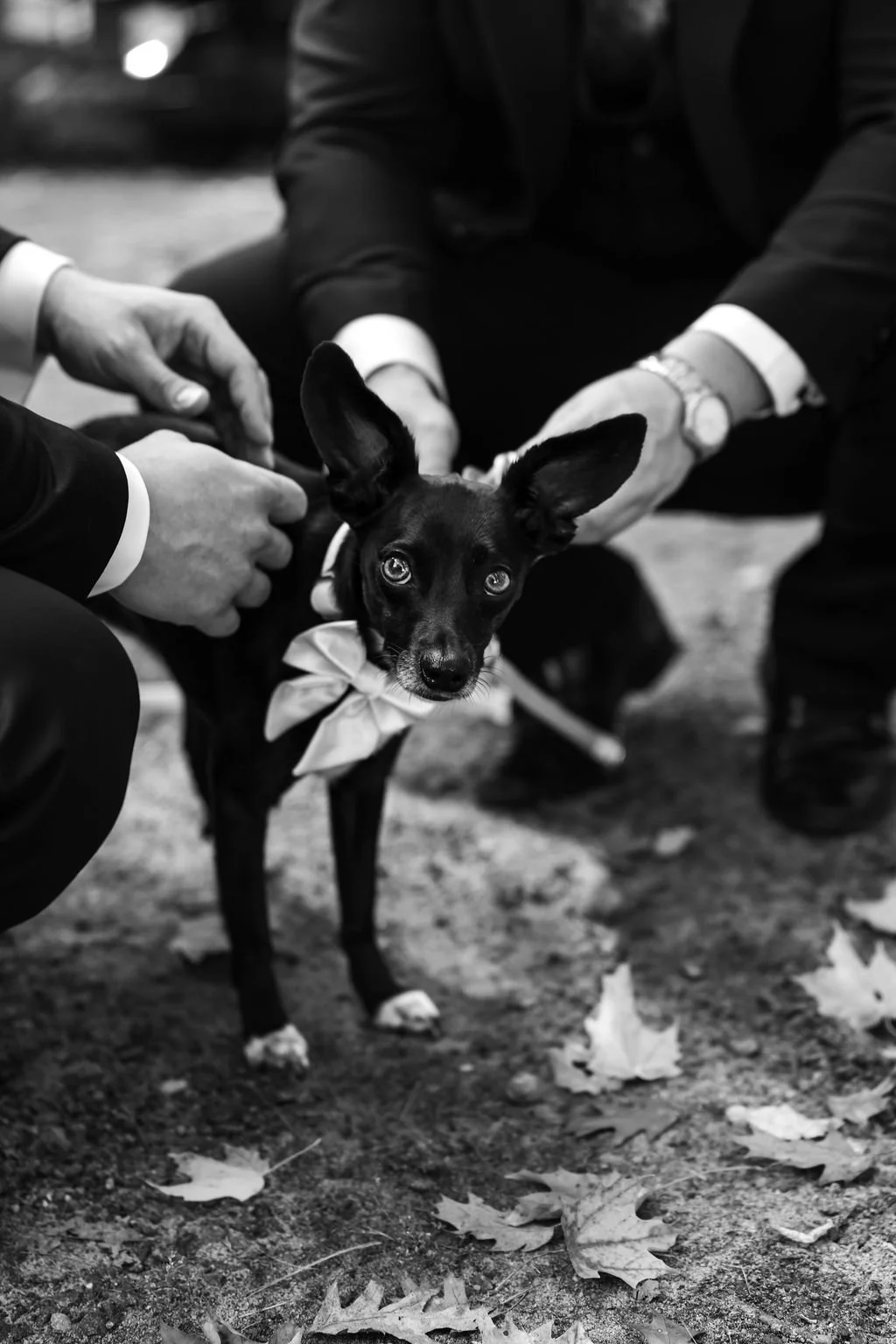 intimate-muskoka-wedding24.JPG