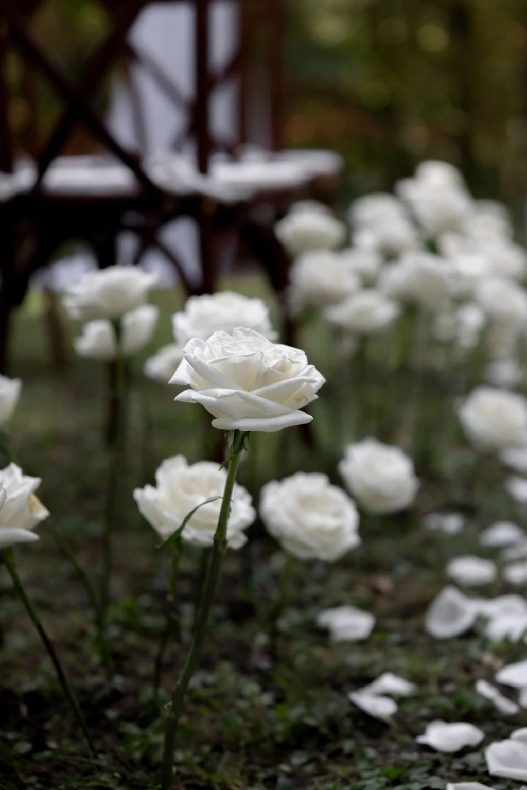 intimate-muskoka-wedding22.JPG